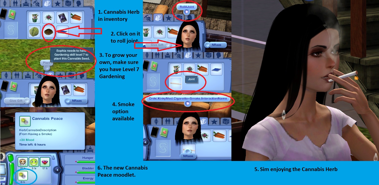 sims 3 kinky world channels not working